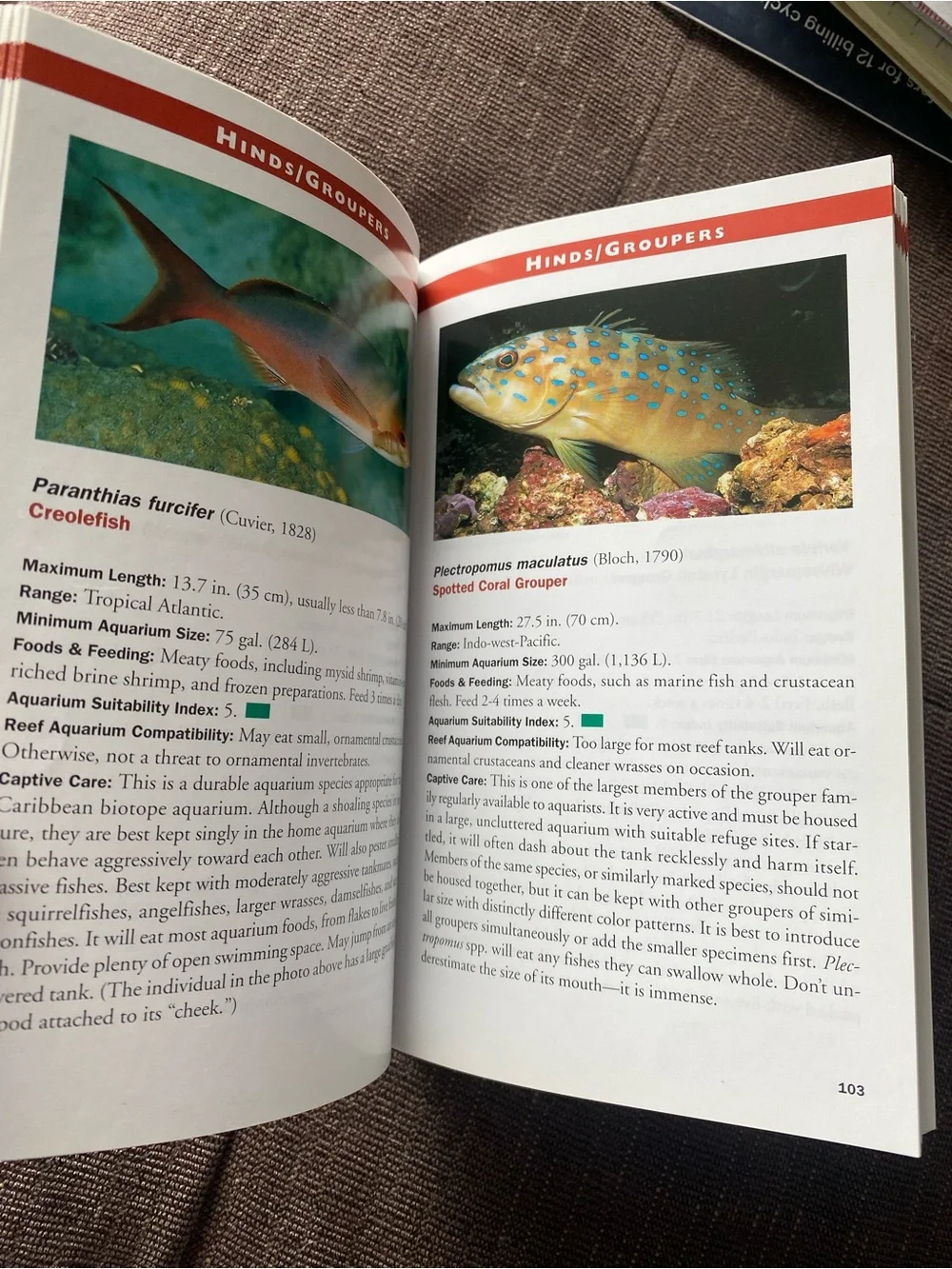 Marine Fishes by Scott W. Michael